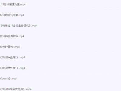 《新帕梅拉健身全集》[MP4视频资源][27.9GB]新手低强度全天高效减脂塑形合集