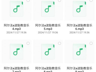 阿尔法胎教音乐360首(花费980在小红书买来的珍贵资源)