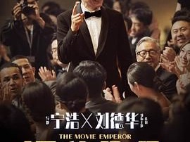 《红毯先生》2024 [1080P BD][国语中字][刘德华/梁家辉] 