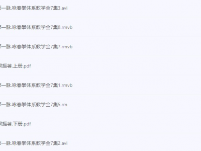 《中国武术教程》[视频+PDF][20.5GB][咏春/泰拳/擒拿格斗/自由搏击/截拳道]