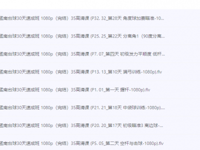 花了998买来的台球教程，正版高清视频教程