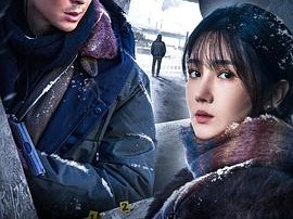 《凶手的样子》2025 [1080P HD][国语中字][16集 完结]又名 :暴雪追凶